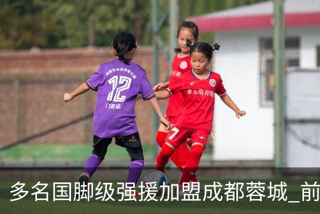 多名国脚级强援加盟成都蓉城 前场还有进人空间