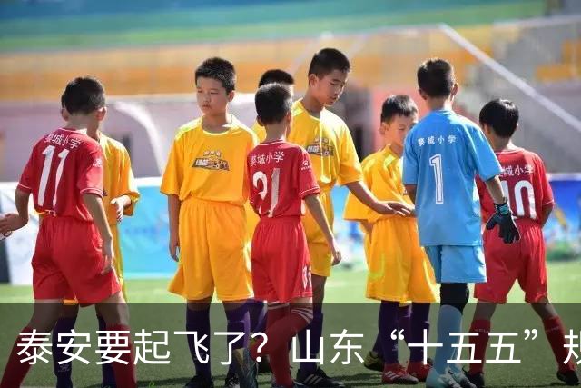 泰安要起飞了？山东“十五五”规划直接点名泰山！